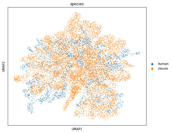 ../_images/tutorials_Cross_species_Homologous_Regulatory_Analysis_10_1.png