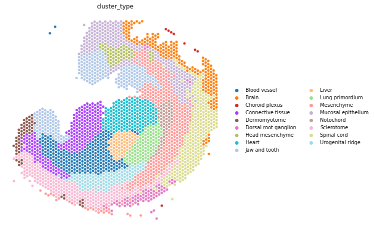 ../_images/tutorials_Cross_species_Homologous_Regulatory_Analysis_18_2.png
