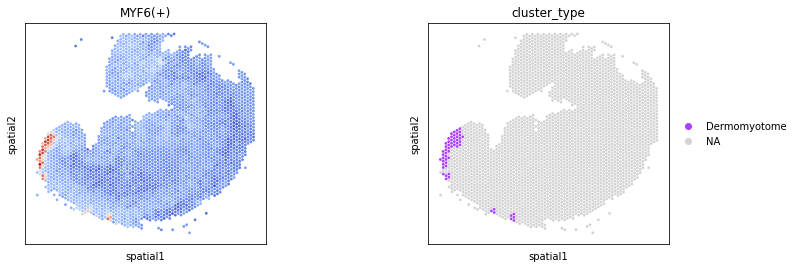 ../_images/tutorials_Cross_species_Homologous_Regulatory_Analysis_31_1.png