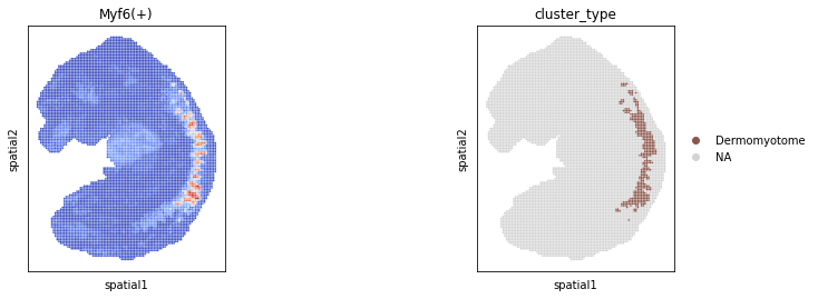 ../_images/tutorials_Cross_species_Homologous_Regulatory_Analysis_32_1.png