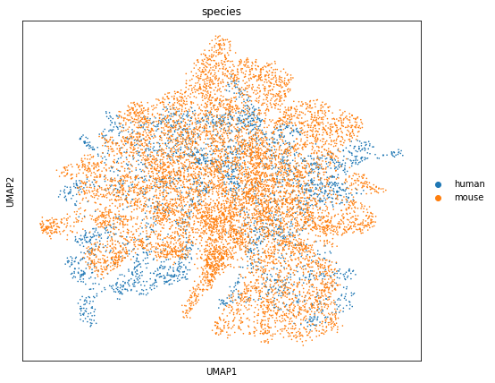 ../_images/tutorials_Cross_species_Homologous_Regulatory_Analysis_10_1.png