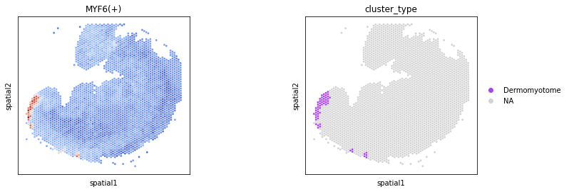 ../_images/tutorials_Cross_species_Homologous_Regulatory_Analysis_31_1.png